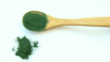spiruline en poudre
