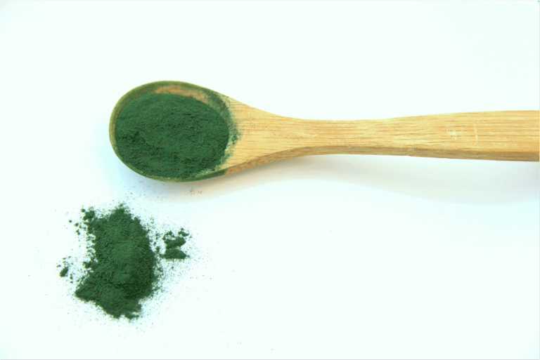 spiruline en poudre