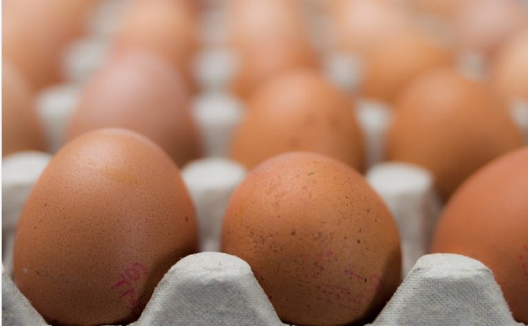 oeufs