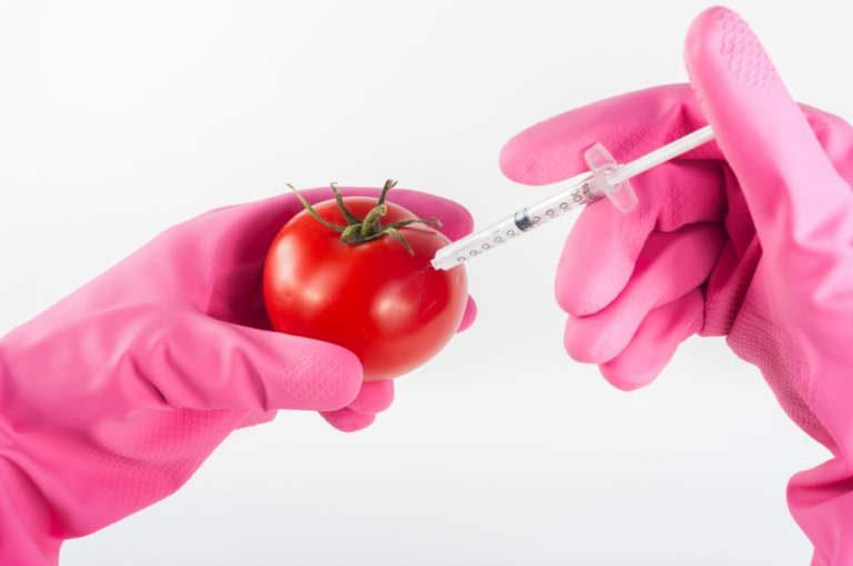 aiguille tomate aliments ultra-transformes