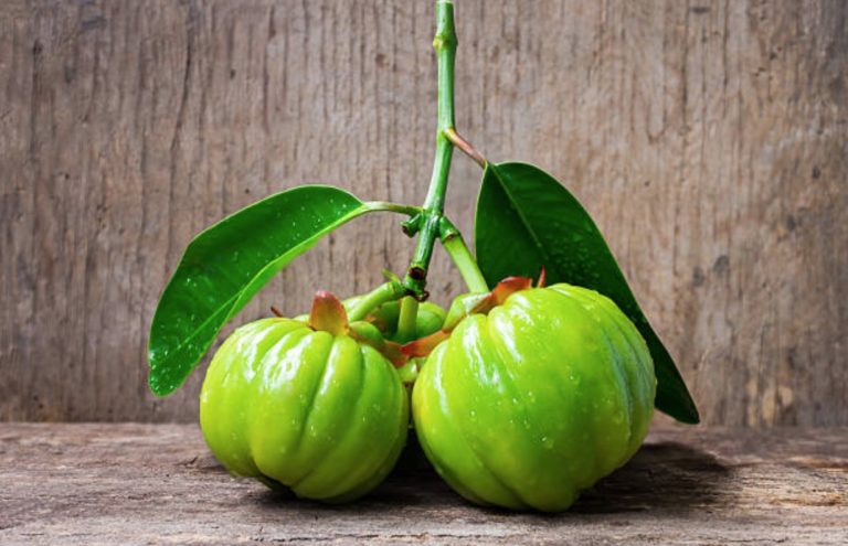 garcinia cambogia