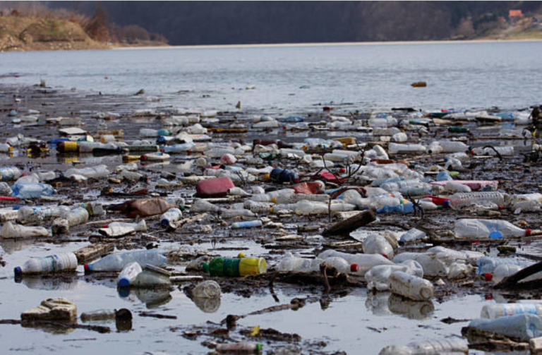 dechets plastique bouteilles eau fleuve riviere pollution