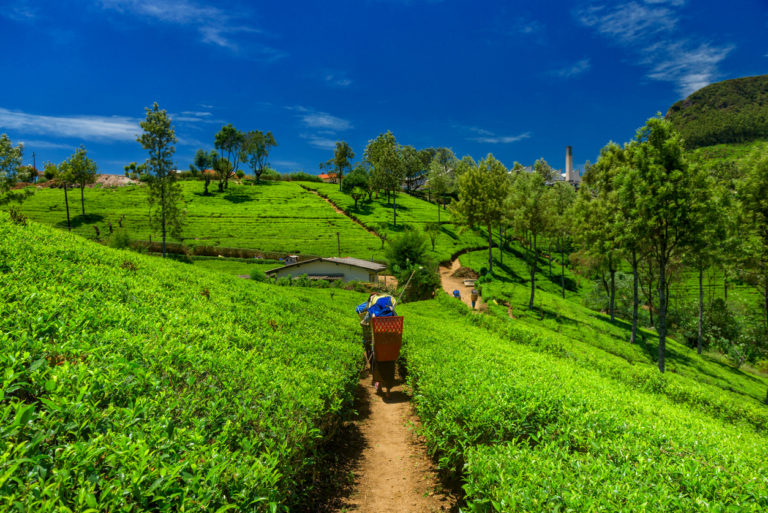 sikkim