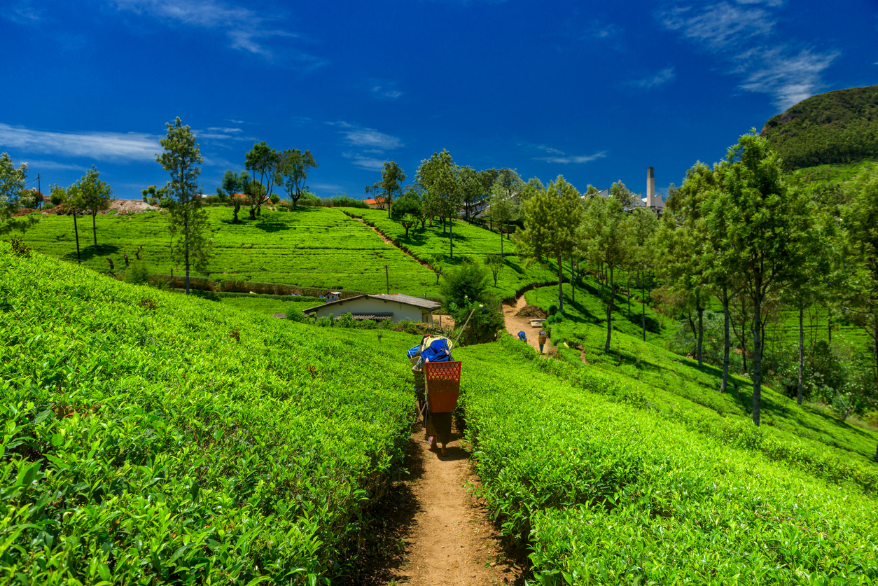 sikkim