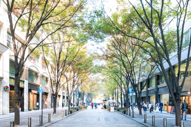 arbre ville