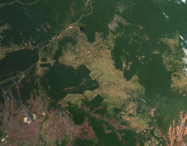 amazon_deforestation_2012