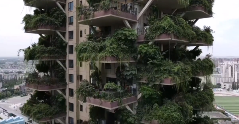 foret verticale Chine