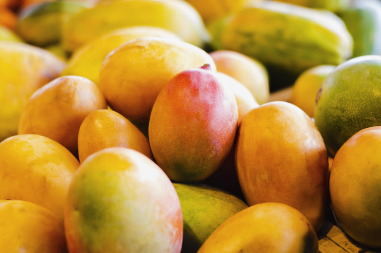 mangue