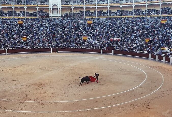 corrida taureau 2