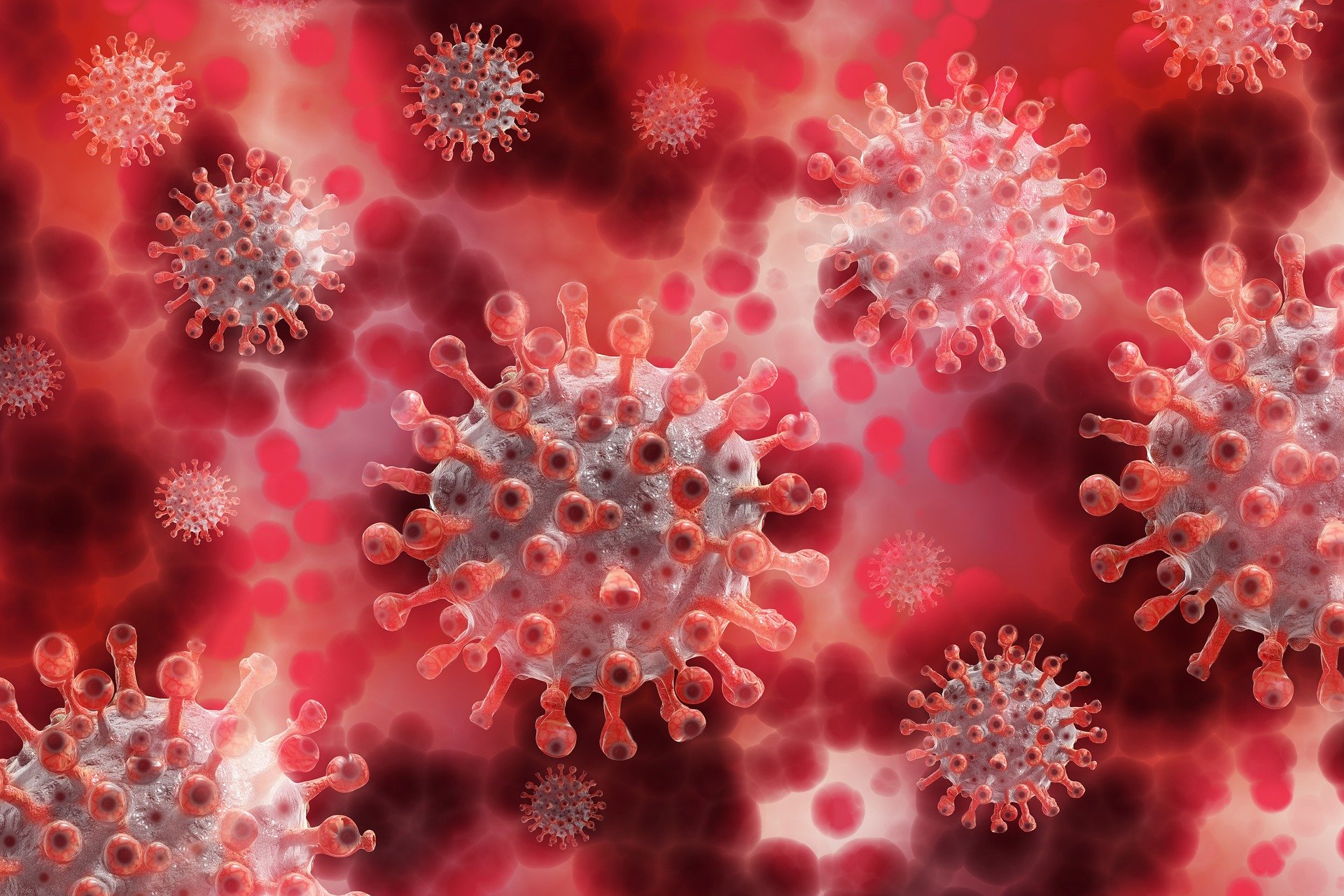 virus tueur de cancer
