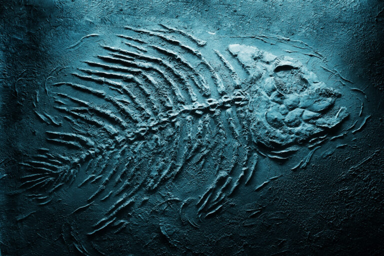 extinction