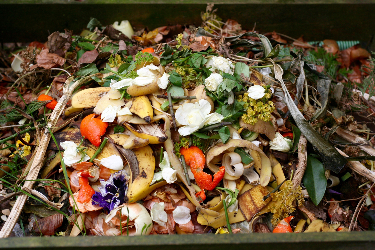 déchets alimentaires