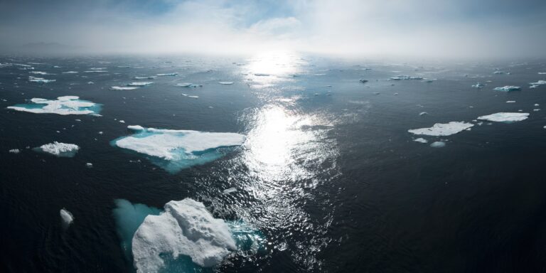 changement climatique