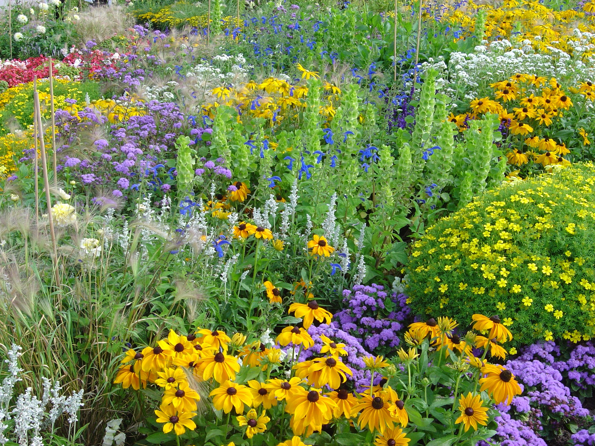 biodiversité