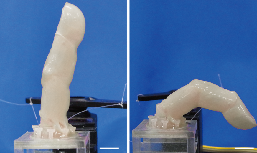 peau doigt robotique