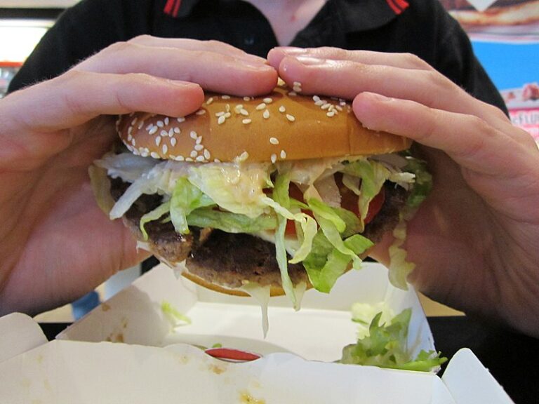 macdo burger