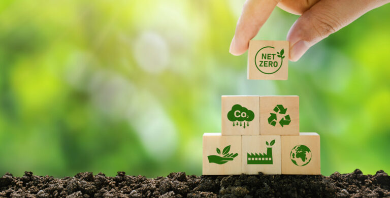 écologie planète développement durable