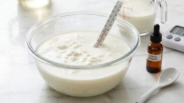 Faire un fromage maison avec présure : les 5 étapes pour un caillé réussi