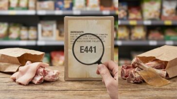 Gélatine de porc ou de boeuf différence : ce que change l'étiquette E441 sur votre assiette