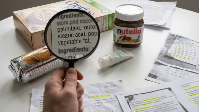 Huile de palme noms caches ingredients : les dix mots qui la dissimulent sur l'etiquette