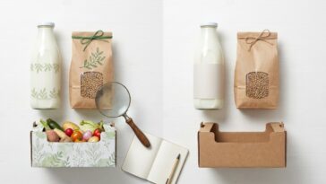 Lire etiquette produit bio difference conventionnel : ce que change vraiment le label AB
