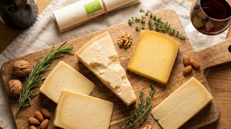 Liste fromages présure végétale : parmesan, comté et les alternatives compatibles