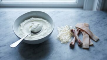 Yaourt additif origine animale : la gélatine cachée dans les desserts lactés